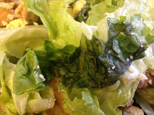 Fun little surprises in your salad.