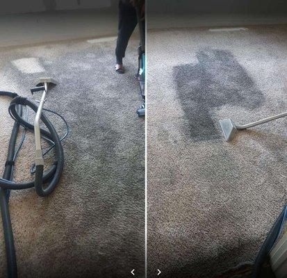 Before & After Carpet Cleaning Services