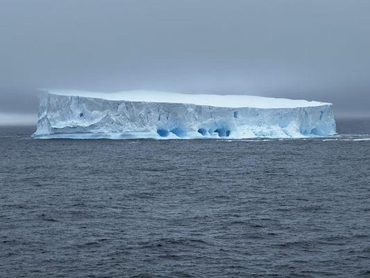 Antarctica