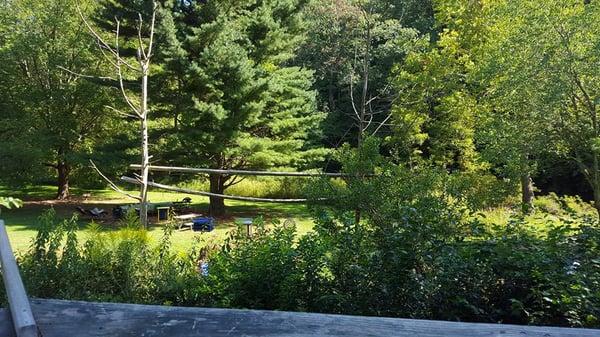 View of Bird sanctuary from the Nature Center Deck