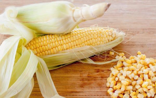 Local Farm Fresh Corn on the Cob grilled on an open flame