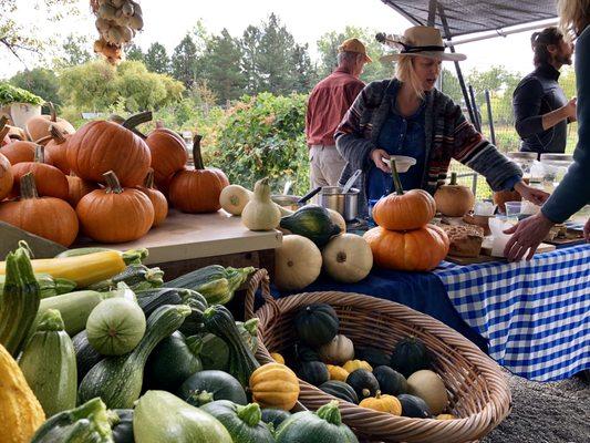 Fresh produce at the Little Garden Stand