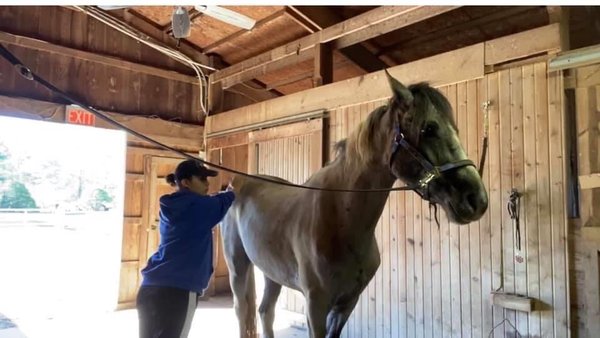 Tatianna working on Fírnen