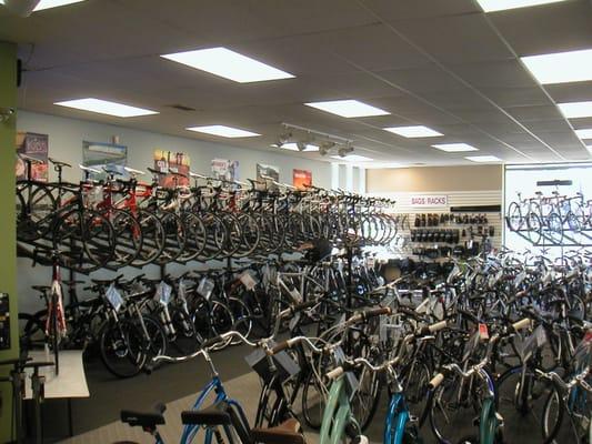 Large road and mountain bike selection!