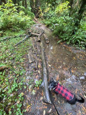 Tickle Creek Park & Trail