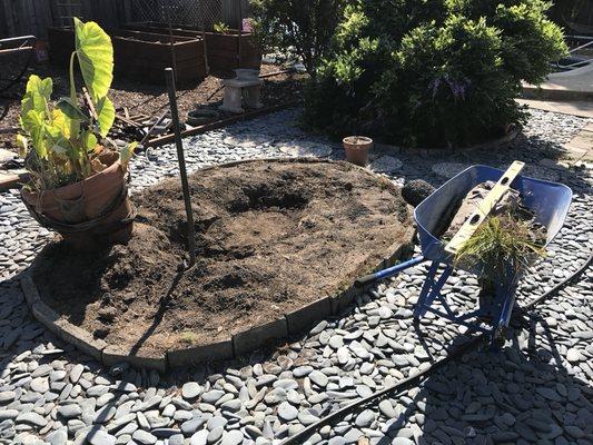 Clean up area and prepping to install fountain and with new plants