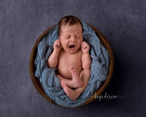 newborn portraits