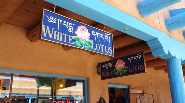 White Lotus