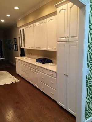 Cabinet repaint