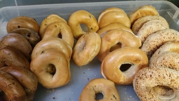 Variety of bagels