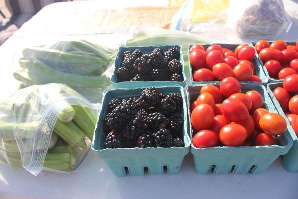 Okra, Blackberries, Cherry Tomatoes...From our garden to your table in a matter of hours!