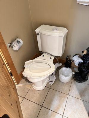 Sasquatch Sanctuary - Toilet in basement bathroom broken