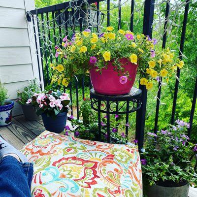 My favorite part of this entire complex is the balcony.  Watching the trees from season to season.  It's a very peaceful area