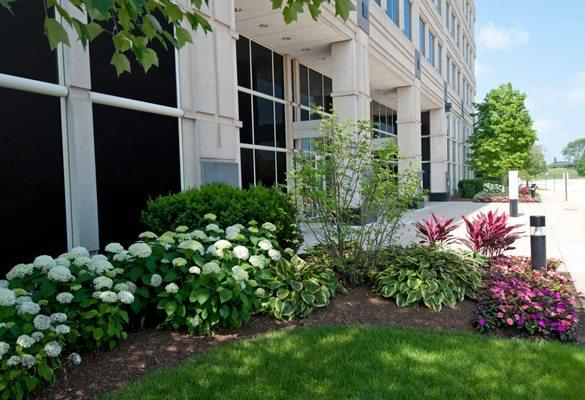 Commercial and residential landscape design and maintenance