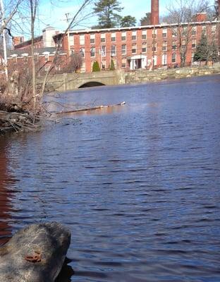 Middlesex Canal Museum