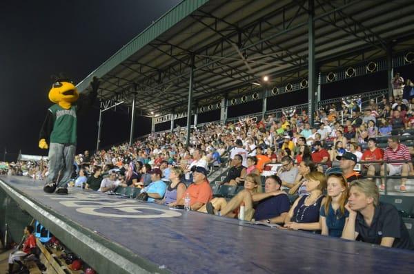 Augusta GreenJackets Baseball Club