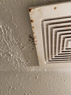 Mold bold up around the vents