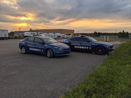 Security Patrol Vehicles