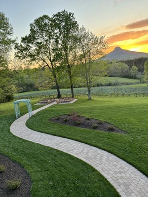 Path to ceremony by the vineyard