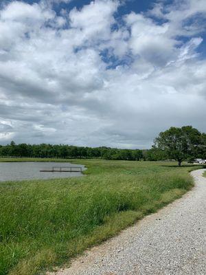 We love our pond!