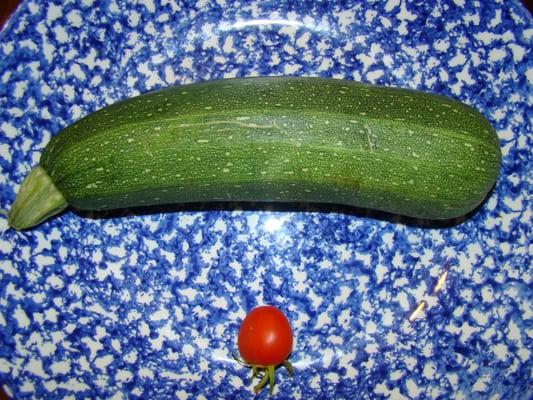 The children got to take the vegetables they grew home.