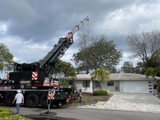 Bowen Crane reaches over our house to pluck a dangerous tree from our backyard.