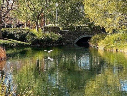 Drop off your tax documents and stroll around the Bridgeport lake...