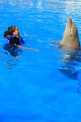 Swimming with dolphins