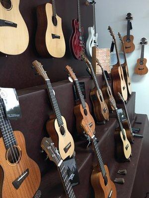 Some of the Ukulele display