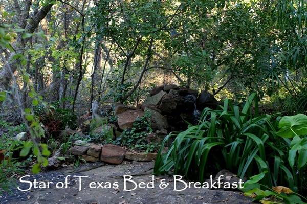 the waterfall where most couples do the Texas Elopements