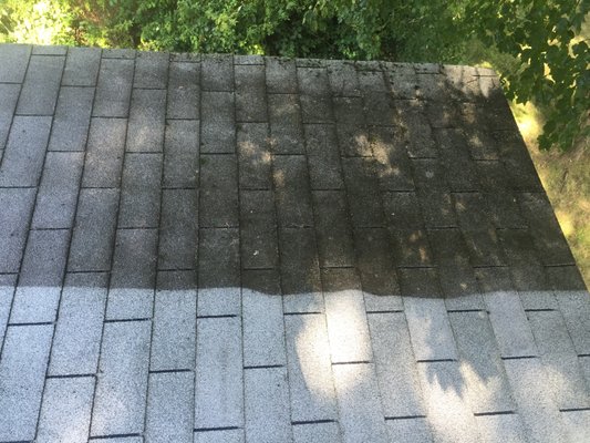 Before-After Soft Roof Treatment