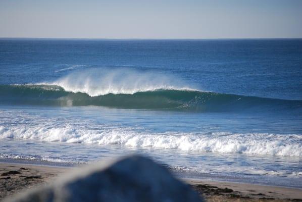 Santa Cruz Surf Up North