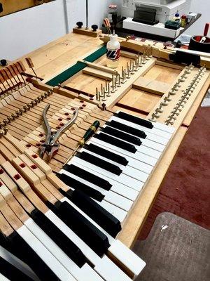 Piano Restoration, Tuning and Show Room