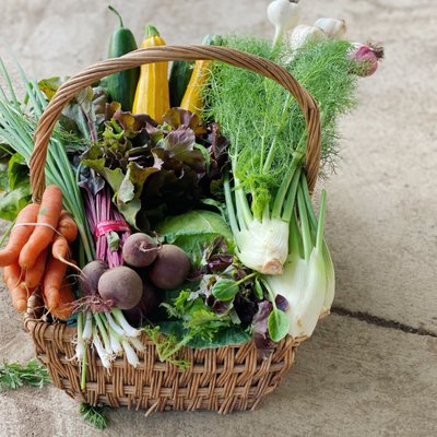 A summer CSA share!