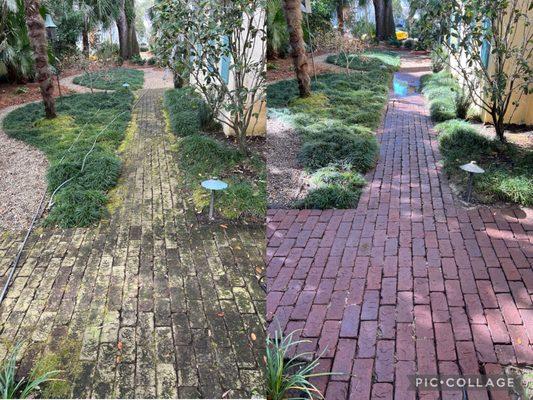 We soft washed and lightly pressure washed this slippery and dangerous walk way.