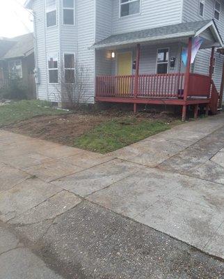 Dug out dirt and removed bushes