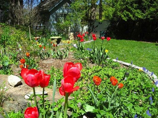 Garden in Bloom