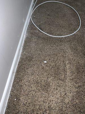 Another bedroom not vacuumed