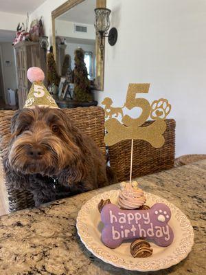 Nutmeg on her fifth birthday