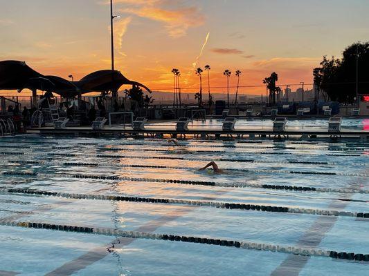 Sunset swimming