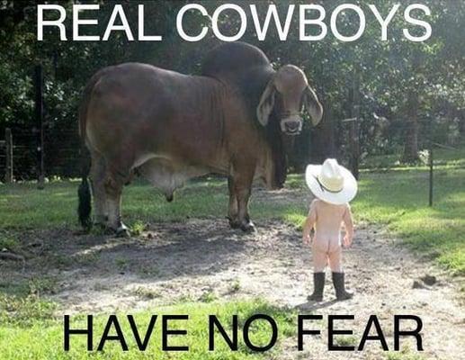 Go and support some real cowboys and enjoy the weekend!