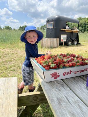 Check in for the park and pick- then you walk the fields and pick away!