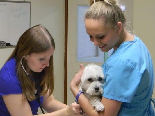 Dr McDiffett and MiKayla with Cyr for an exam