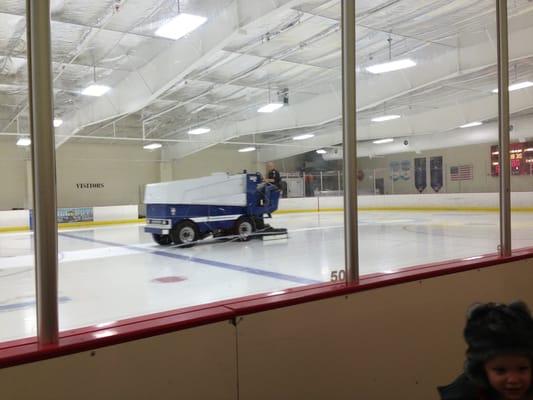 Zamboni