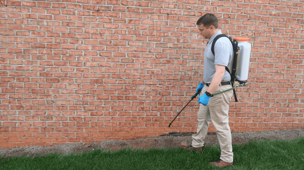 The Best Pest Control Solutions