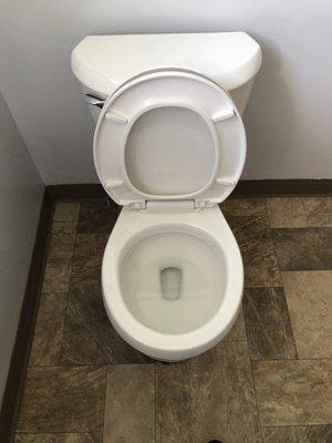 Replacement Toilet