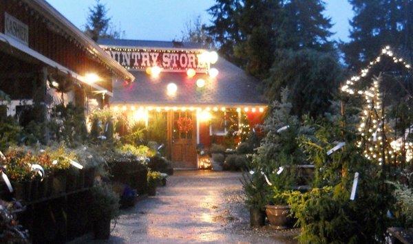 Rodgers Country Nursery & Gardens