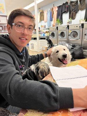 Two sweet dogs greet everyone who comes into We've Got Your Sock Laundromat :)