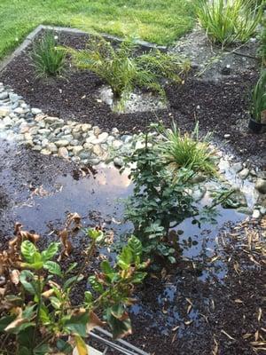 My flooded front yard from the spa movers after breaking my sprinkler at the thread thanks.