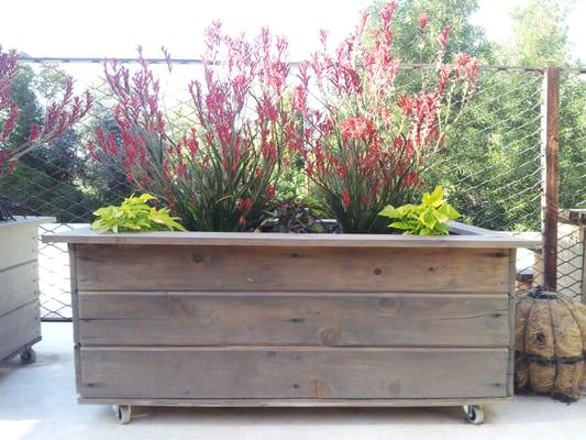 Planter Box